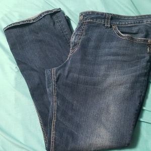 Plus Size Silver Suki Jeans
